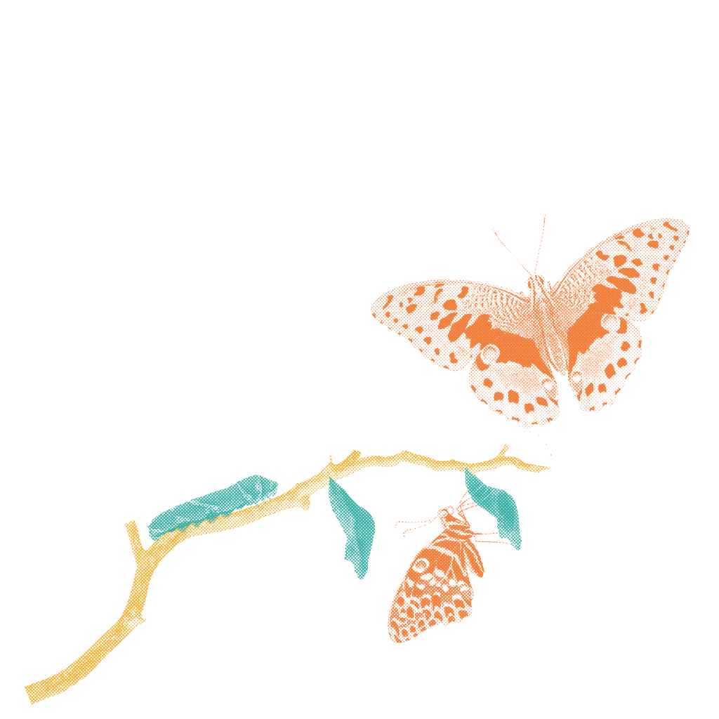 A caterpillar, a cocoon and a butterfly, representing transformation