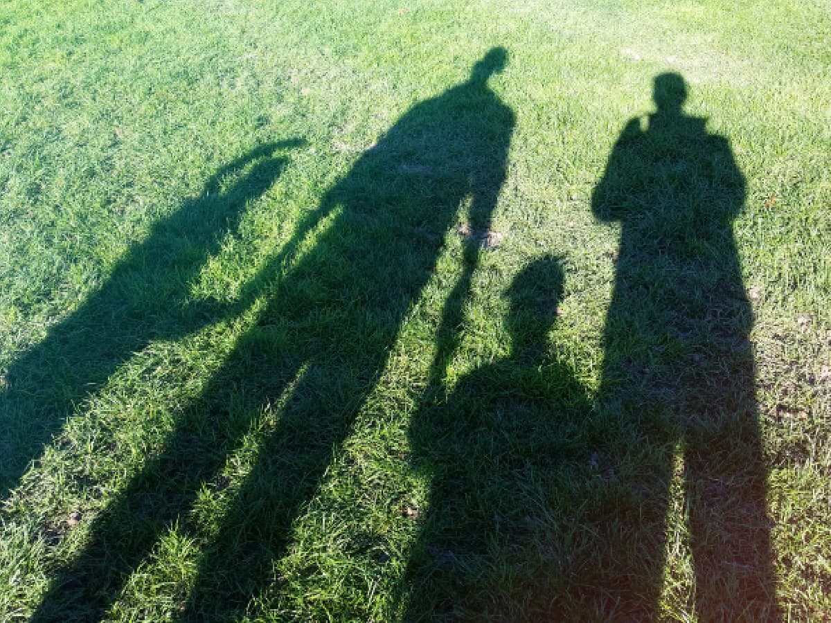 Shadows Optimized