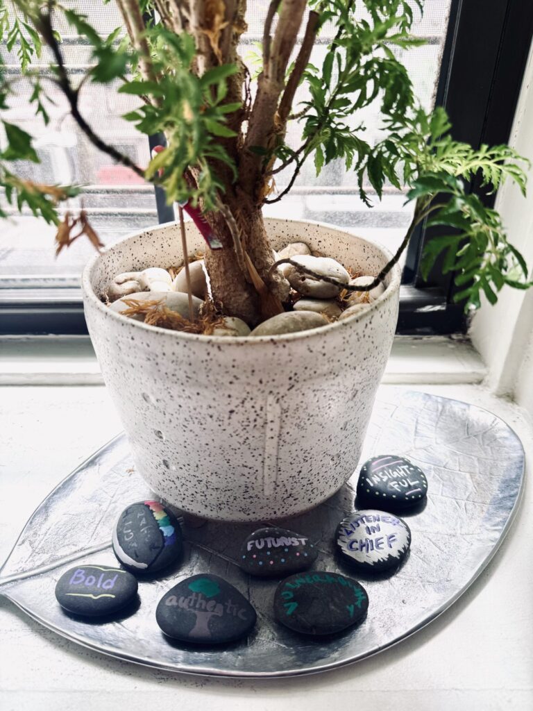 Stones surrounding a plant